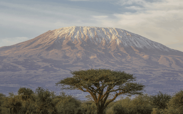 Turkish Airlines at low rates to Kilimanjaro Airport