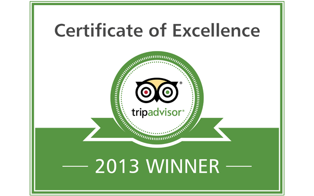 Certificate of Excellence 2013 Winner